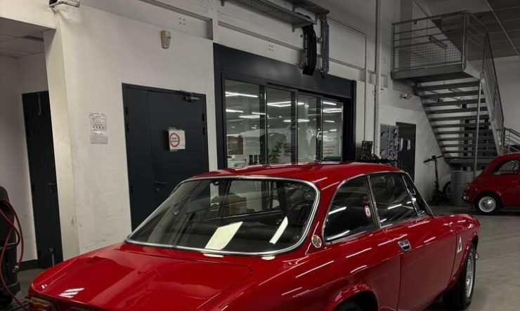 6942d23ee55b8_images_medium